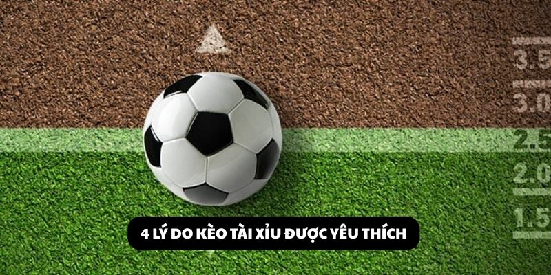 cách đọc kèo tài xỉu