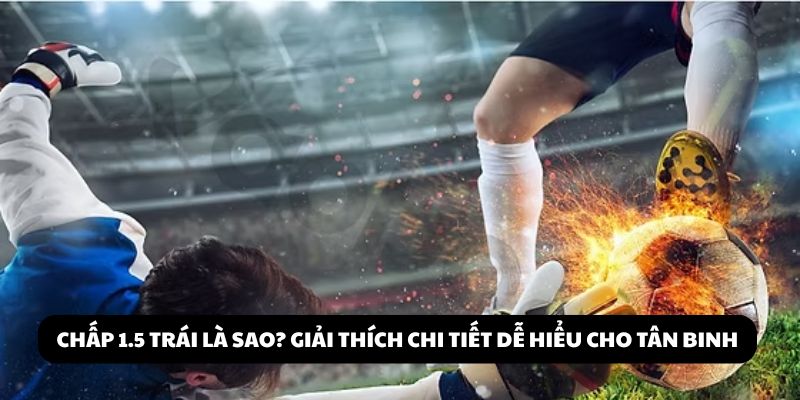 chấp 1.5 trái là sao