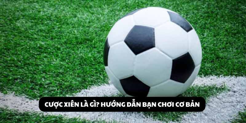Cược xiên là gì